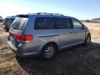 2008 Honda Odyssey EXL