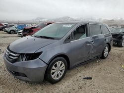 Honda Odyssey exl Vehiculos salvage en venta: 2014 Honda Odyssey EXL