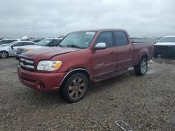 Salvage cars for sale from Copart Houston, TX: 2006 Toyota Tundra Double Cab SR5