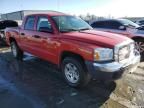 2005 Dodge Dakota Quad SLT