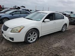 Nissan salvage cars for sale: 2008 Nissan Maxima SE