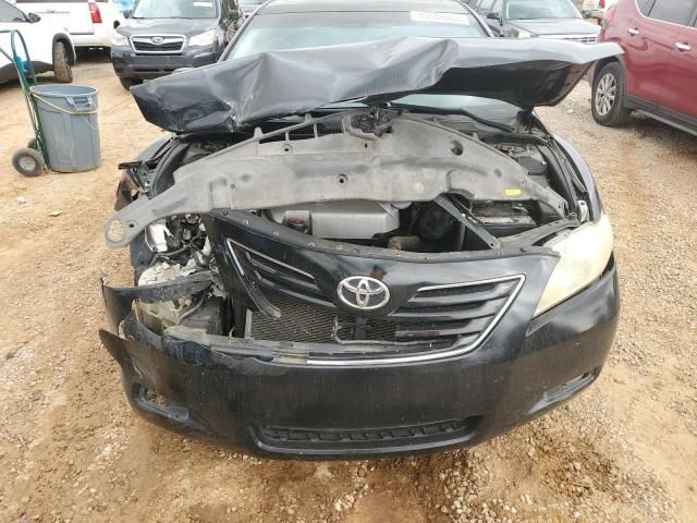 2009 Toyota Camry SE