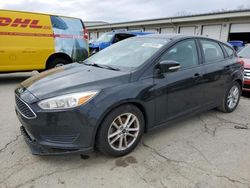 2017 Ford Focus SE en venta en Louisville, KY