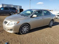 Salvage cars for sale at Bismarck, ND auction: 2009 Toyota Corolla Base