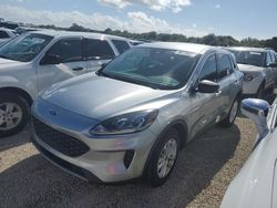 Salvage cars for sale at West Palm Beach, FL auction: 2022 Ford Escape SE