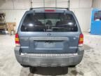 2005 Ford Escape XLT