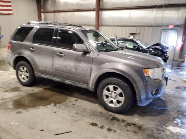 2011 Ford Escape Limited