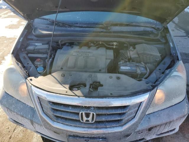 2010 Honda Odyssey EXL