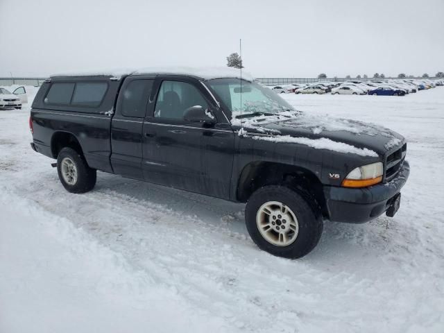 2000 Dodge Dakota