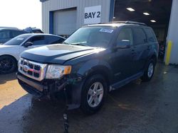 Salvage Cars with No Bids Yet For Sale at auction: 2008 Ford Escape HEV