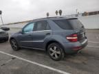 2011 Mercedes-Benz ML 350