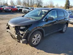 Salvage cars for sale at Portland, OR auction: 2014 Honda CR-V EXL