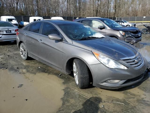 2011 Hyundai Sonata SE