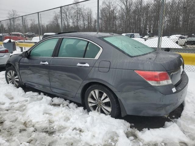 2010 Honda Accord EXL