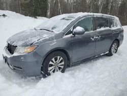 Salvage cars for sale from Copart Cookstown, ON: 2014 Honda Odyssey EX