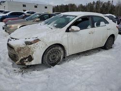 Salvage cars for sale at Cookstown, ON auction: 2017 Toyota Corolla L