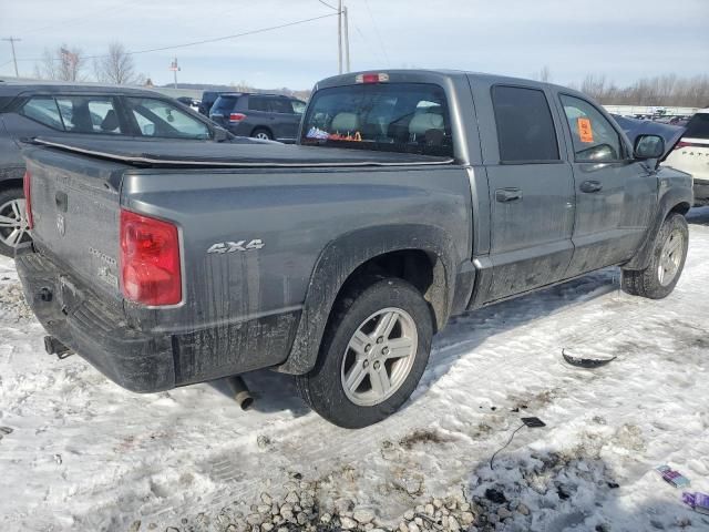 2009 Dodge Dakota SXT