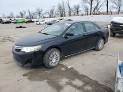 Salvage cars for sale at Bridgeton, MO auction: 2014 Toyota Camry L