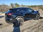 2018 Lexus NX 300 Base