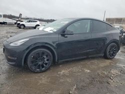 Salvage cars for sale at Fredericksburg, VA auction: 2023 Tesla Model Y