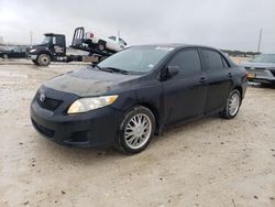 Toyota Corolla salvage cars for sale: 2009 Toyota Corolla Base