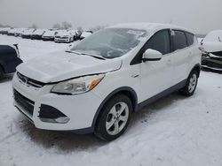 Salvage cars for sale at West Warren, MA auction: 2014 Ford Escape SE