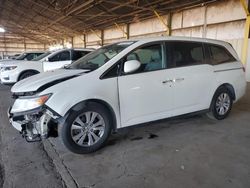 Honda Vehiculos salvage en venta: 2015 Honda Odyssey EXL