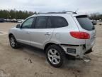 2007 Hyundai Santa FE SE