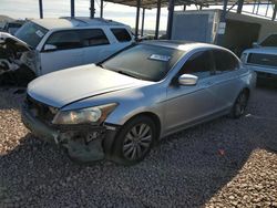 Salvage cars for sale from Copart Phoenix, AZ: 2011 Honda Accord EX