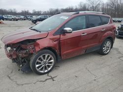 Salvage cars for sale at Ellwood City, PA auction: 2015 Ford Escape SE