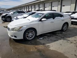 Salvage cars for sale at Louisville, KY auction: 2011 Nissan Maxima S