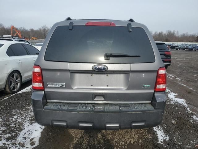 2011 Ford Escape XLT