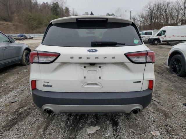 2020 Ford Escape SE Sport