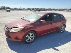 Salvage cars for sale at Arcadia, FL auction: 2013 Ford Focus SE