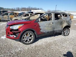 Salvage cars for sale at Lawrenceburg, KY auction: 2014 Ford Escape Titanium