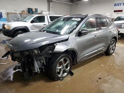 Salvage cars for sale at Elgin, IL auction: 2024 Ford Escape ST Line