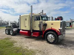 Salvage trucks for sale at Houston, TX auction: 1981 Peterbilt 359