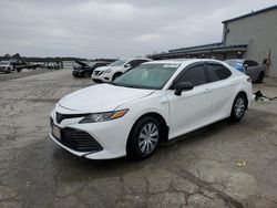 Carros salvage a la venta en subasta: 2020 Toyota Camry LE