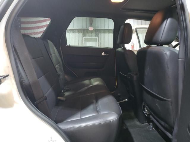 2011 Ford Escape Limited