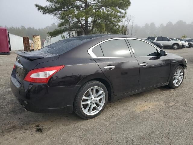 2010 Nissan Maxima S