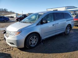 Salvage cars for sale at Mcfarland, WI auction: 2013 Honda Odyssey EX