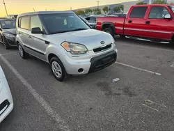 Salvage cars for sale at Phoenix, AZ auction: 2011 KIA Soul