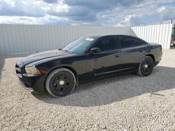 Dodge Vehiculos salvage en venta: 2012 Dodge Charger Police