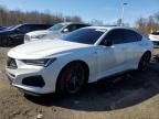 2023 Acura TLX Type S