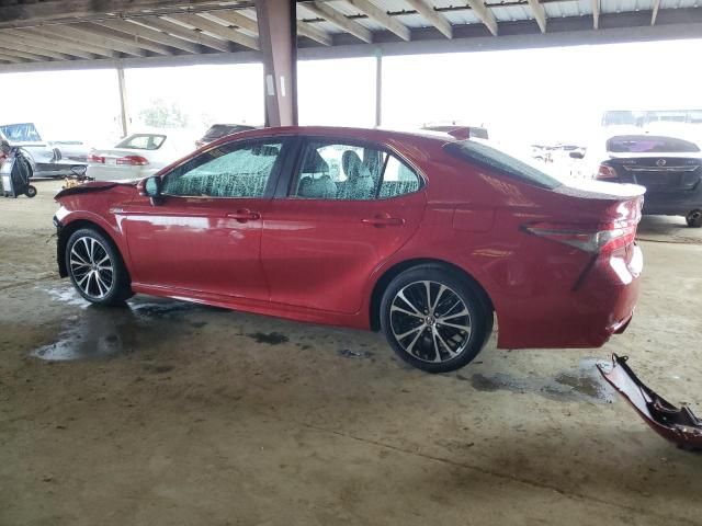 2019 Toyota Camry Hybrid