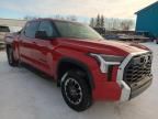 2024 Toyota Tundra Crewmax SR5