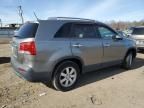 2011 KIA Sorento Base