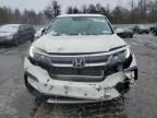 2019 Honda Pilot EXL