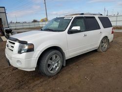 Salvage cars for sale at Bismarck, ND auction: 2010 Ford Expedition Limited