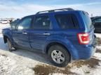 2008 Ford Escape HEV